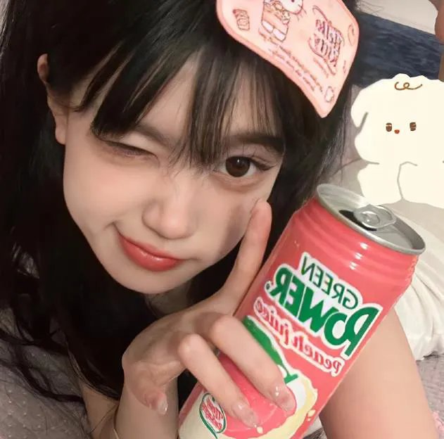 还珠记