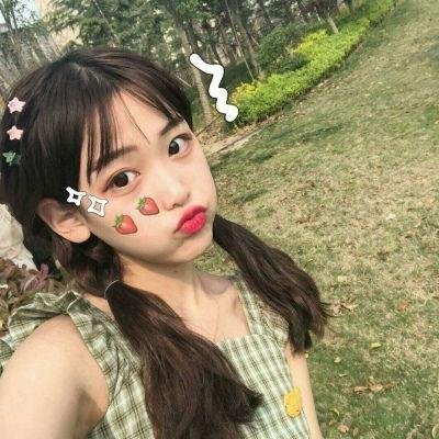 小老鼠历险记