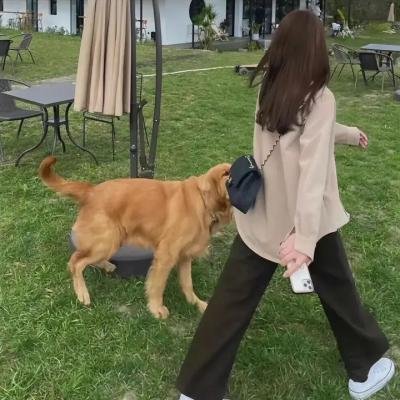 女法医手记之来访者
